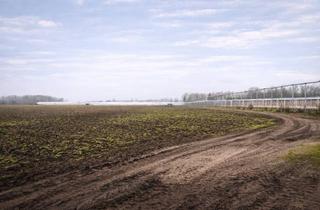 Gewerbeimmobilie kaufen in 48308 Senden, 5.106 m² Grundstück mit bestehender Gewerbehalle in attraktiver Lage von Senden