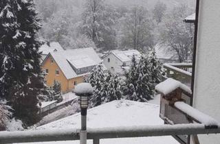 Wohnung mieten in 72270 Baiersbronn, Schöne 1 Zimmer Wohnung mit EBK und Balkon in Schönmünzach