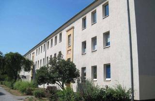 Wohnung mieten in Magdeburger Landstraße 204, 14770 Altstadt, 3-Zimmer-Wohnung mit Badewanne in der Walzwerksiedlung