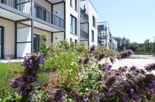 Wohnung mieten in Am Vallendarer Törchen 14, 56203 Höhr-Grenzhausen, Erstbezug 1-Zimmer Wohnung mit Balkon im Wohnpark Limes Living in Höhr-Grenzhausen