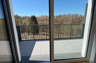 Penthouse mieten in Am Vallendarer Törchen 14, 56203 Höhr-Grenzhausen, Erstbezug 1-Zimmer Penthouse-Wohnung mit Balkon im Wohnpark Limes Living in Höhr-Grenzhausen