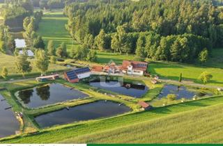Haus kaufen in 95703 Plößberg, Pure Freiheit: Exklusives Anwesen in Alleinlage mit eigener Fischzuchtanlage