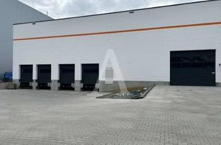 Gewerbeimmobilie mieten in 50169 Kerpen, LAGERFLÄCHE IN KERPEN | 7,5 M UKB | EBENERDIG & RAMPE | MIETE | ANGERMANN NRW