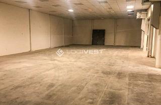 Gewerbeimmobilie mieten in 04129 Eutritzsch, Lagerhalle mit vorhandener Regalierung in verkehrsgünstiger Lage