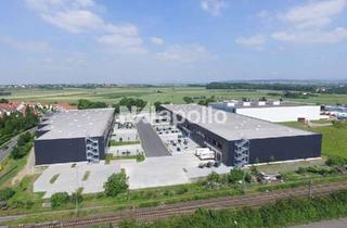 Gewerbeimmobilie mieten in Mariechen-Graulich-Straße 10-12, 65439 Flörsheim, Im Co-Alleinauftrag | 3200m² Lagerfläche | sofort verfügbar! | Flughafennähe