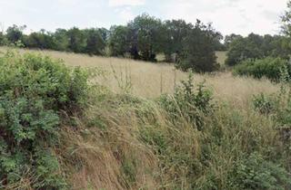 Grundstück zu kaufen in Am Äckerchen, 66869 Blaubach, Sonnenverwöhntes Premium-Bauland mit großzügigem Wiesengrundstück in Bestlage