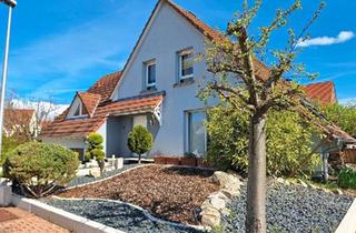Einfamilienhaus kaufen in 76768 Berg, Berg (Pfalz) - Lichtdurchflutetes Einfamilienhaus in Seltz (Elsass)