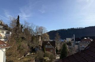 Wohnung kaufen in 72458 Albstadt, 2-Zimmer-Appartement mit Loggia und TG-Stellplatz in Ebingen