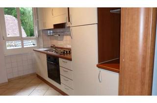 Wohnung mieten in 79400 Kandern, Gepflegte Erdgeschosswohnung mit EBK in Kandern