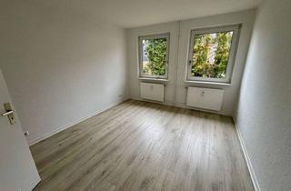 Wohnung mieten in Haßjägerweg 29, 38229 Gebhardshagen, Frisch renovierte 2-Zimmer-Wohnung – bezugsfertig in SZ-Gebhardshagen