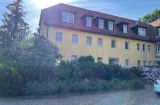 Wohnung mieten in Birmenitz 11 b, 01623 Lommatzsch, Schöne 1 Zimmer Wohnung in idyllischer Umgebung