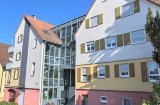Wohnung mieten in Hauptstraße 67, 74629 Pfedelbach, Einziehen & wohlfühlen: 2-Zimmer mit neuer Küche, Balkon & Tiefgarage