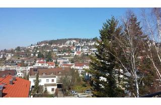 Wohnung mieten in 71229 Leonberg, Stadtnahe Dachgeschosswohnung mit Panoramablick