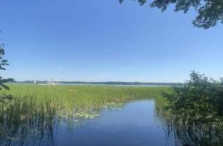 Wohnung mieten in Friedrich-Engels-Damm 83, 15526 Bad Saarow, Wohnen am See in der Natur: Moderne Wohnung mit Garten