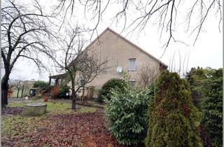 Haus kaufen in 49176 Hilter, Kotten in Alleinlage