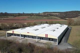 Gewerbeimmobilie kaufen in 96271 Grub, die Perle unter den sofort verfügbaren Hallen