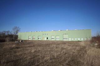 Gewerbeimmobilie kaufen in Am Schrägweg, 04435 Schkeuditz, Gewerbeareal mit funktionaler Halle