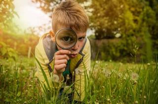 Grundstück zu kaufen in 78576 Emmingen-Liptingen, Wir bauen für Sie auf Ihrem Grundstück mit einem STREIF Haus