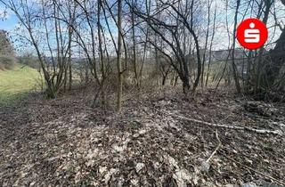 Grundstück zu kaufen in 90518 Altdorf, Großes Grundstück in Altdorf - OT Hegnenberg für ein EFH mit Garage