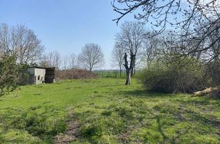 Grundstück zu kaufen in Dorfstraße, 04509 Wiedemar, Bauträgerfreies Grundstück nahe Leipzig mit positiver Bauvoranfrage!