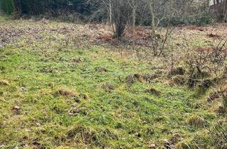 Grundstück zu kaufen in 76596 Forbach, interessantes Baugrundstück in Forbach