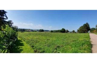 Grundstück zu kaufen in 99869 Hochheim, Sonniges Grundstück für ein Tiny House | Sofort verfügbar | provisionsfrei | bauträgerfrei