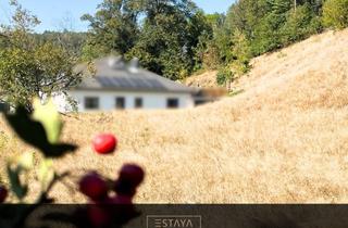 Grundstück zu kaufen in 09125 Harthau, Jetzt voll erschlossen - Baugrundstück am Naturschutzgebiet in Chemnitz-Harthau