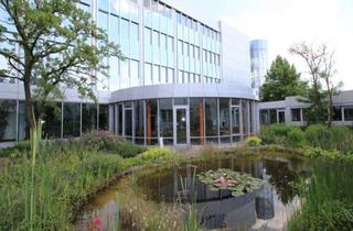 Gewerbeimmobilie mieten in 68649 Groß-Rohrheim, Schickes Verwaltungsgebäude optional mit Freifläche - BR 3935