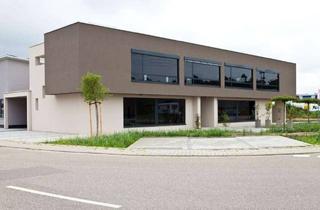 Büro zu mieten in Am Breilingsweg 13, 76709 Kronau, Hochwertige Bürofläche mit optionaler Lagerhalle