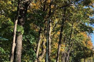 Wohnung kaufen in Patrizierweg xx, 14480 Potsdam, MAKLERFREI, Bezugsfreie, ETW 1. OG, Loggia, B Energieverauch,Potsdam(Babelsberg/Griebnitzsee)