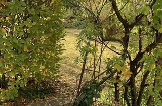 Wohnung kaufen in Kaulbachstraße 29, 12247 Lankwitz, Kernsanierte Terrassenwohnung 3 Zimmer Wohnung Lichterfelde 63 qm