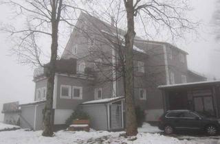 Wohnung kaufen in 37444 St. Andreasberg, Eine kleine, aber sehr attraktive Wohnung in Harzen