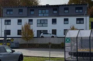 Wohnung mieten in 64405 Fischbachtal, Erstbezug nach Sanierung: 4-Zimmer-Wohnung mit Terrasse in Fischbachtal