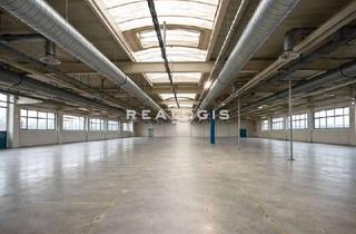 Gewerbeimmobilie kaufen in 77652 Offenburg, Lager-/Produktionsstandort mit Erweiterungspotenzial zu verkaufen!