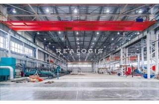 Gewerbeimmobilie mieten in 83527 Haag, lichtdurchflutete Lager- oder Produktionsfläche zu vermieten