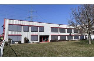 Gewerbeimmobilie mieten in Sachsenstraße, 04749 Ostrau, Gewerbeflächen an A14, Nähe A4, Top-Infrastruktur, Warmlager, Eigene Truck-Tankstelle