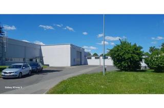 Gewerbeimmobilie mieten in Robert-Bosch.breite 10, 37079 Göttingen, Logistik und Produktionsfläche