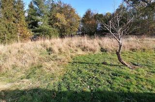 Grundstück zu kaufen in 04720 Mochau, Baulücke in Idyllischer Lage, ca. 787 m² Grundstücksfläche!