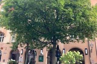 Immobilie mieten in Weinmarkt 14, 90403 Nürnberg, Möblierte 3-Zimmer-Wohnung im Herzen von Nürnberg