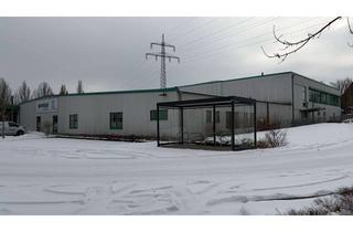 Gewerbeimmobilie kaufen in 32457 Porta Westfalica, Investmentgelegenheit, Fachmarkt & Großhandel in etablierter Lage, Eigennutzung und Investment