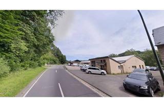 Gewerbeimmobilie kaufen in Mürlenbacherstraße, 54570 Densborn, 1 HA Grundstück mit BG und gemischter Nutzungsoption in Densborn