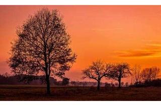 Gewerbeimmobilie kaufen in 63322 Rödermark, Gewerbegrundstück in Rödermark