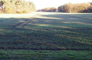 Grundstück zu kaufen in 48336 Sassenberg, Sassenberg - landwirtschaftliche Fläche in Füchtorf