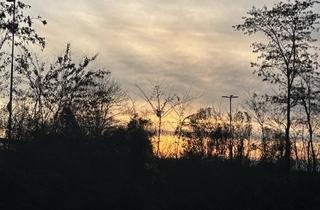 Wohnung kaufen in 79379 Müllheim, Wohnen in Müllheim - toller Komfort auf 105 Quadratmeter