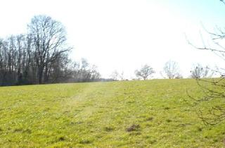 Garagen kaufen in 53804 Much, Baugrundstück mit traumhaftem Blick - mit fertigem Keller und Terrassenfläche, Garage + Carport