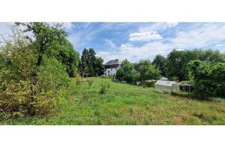 Haus kaufen in 56290 Beltheim, Beltheim - Historisches Unikat (1755) - Saniert, Große Scheune, PV-Anlage