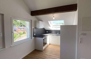 Wohnung mieten in 79787 Lauchringen, Charmantes 1-Zimmer Apartment im DG in Lauchringen