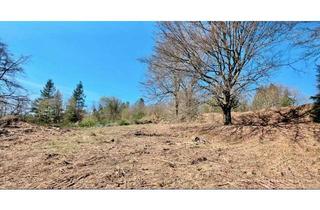 Grundstück zu kaufen in 67705 Trippstadt, Baugrundstück mit einer Fläche von 1.458 m² in Trippstadt