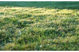 Grundstück zu kaufen in 85110 Kipfenberg, Großzügiges Grundstück mit Altbestand und Entwicklungspotenzial