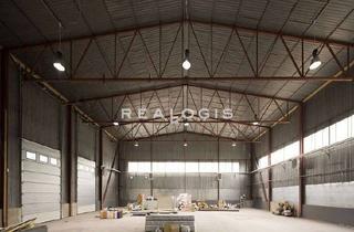 Gewerbeimmobilie kaufen in 82140 Olching, Lager- und Produktionsimmobilie zu verkaufen!